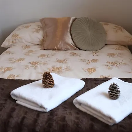 Ryllowka Z Widokiem Na Gory Apartment Zakopane