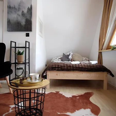 Ryllowka Z Widokiem Na Gory Apartment