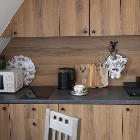 Ryllowka Z Widokiem Na Gory Apartment *